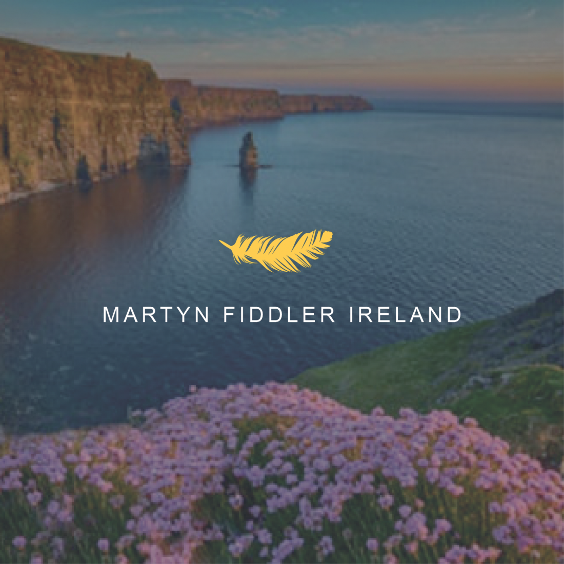 Martyn Fiddler Aviation expand to Ireland