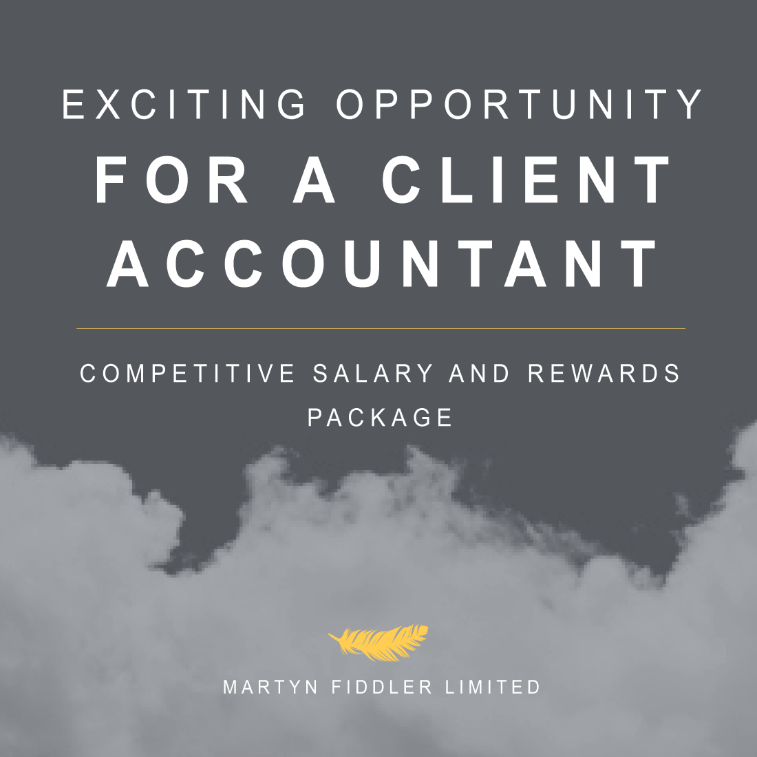 Exciting opportunity for a Client Accountant to join our team